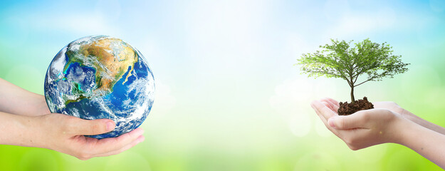  world environment and earth day, Two human hands holding big tree and earth globe over green and blue sky nature background. Elements of this image furnished by NASA