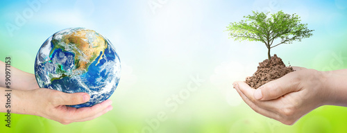  world environment and earth day, Two human hands holding big tree and earth globe over green and blue sky nature background. Elements of this image furnished by NASA