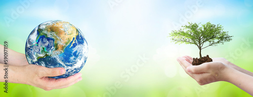 Obraz na plátně world environment and earth day, Two human hands holding big tree and earth globe over green and blue sky nature background