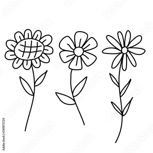 illustration of a flower white background