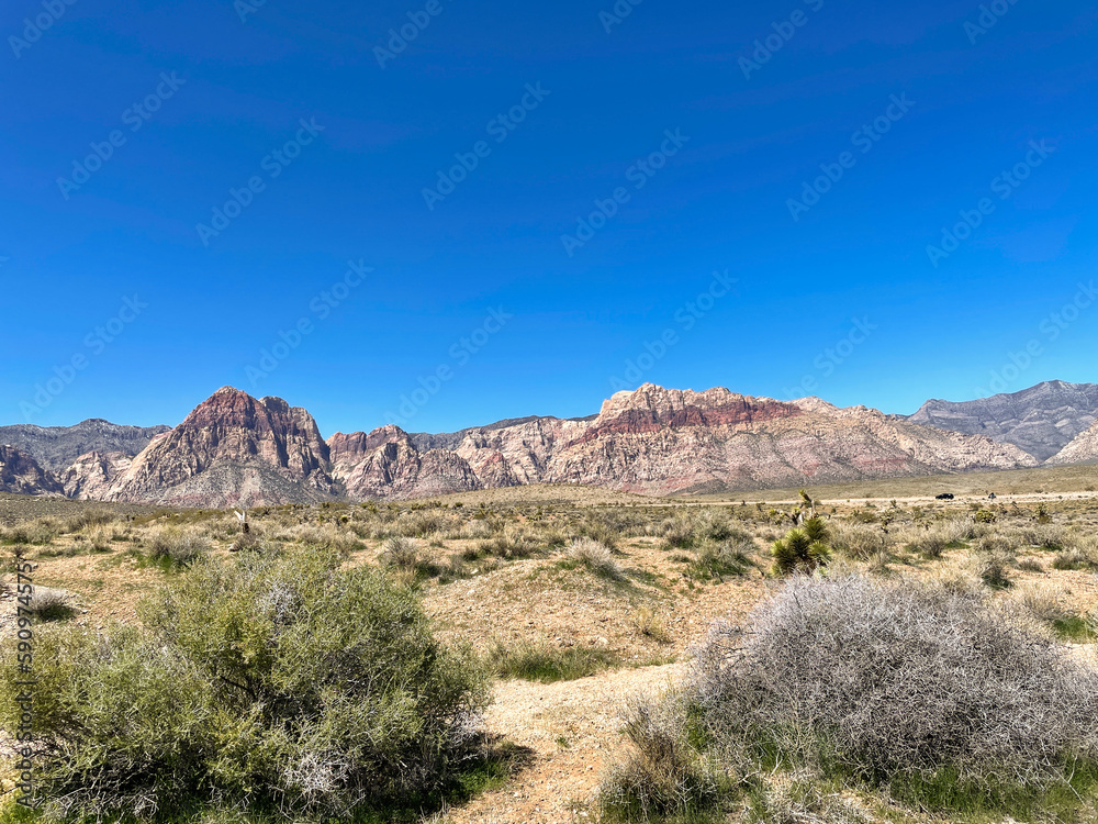 Desert landscape with mountains