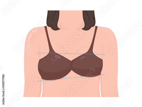 Asymmetric woman breast vector illustration