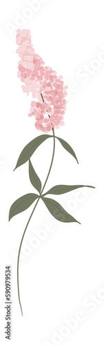 Watercolor wedding flower