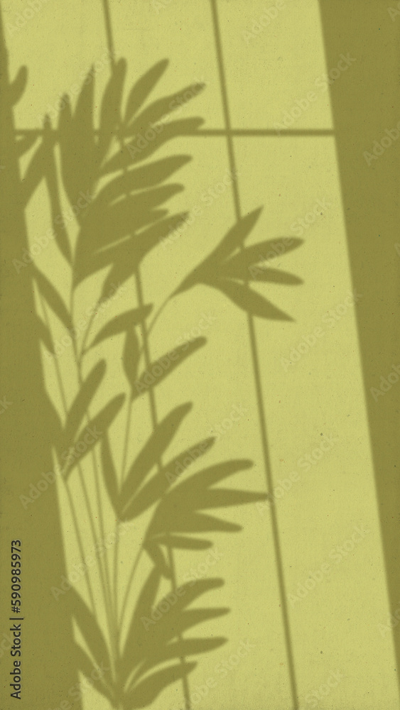 The light from the window shines on the wall