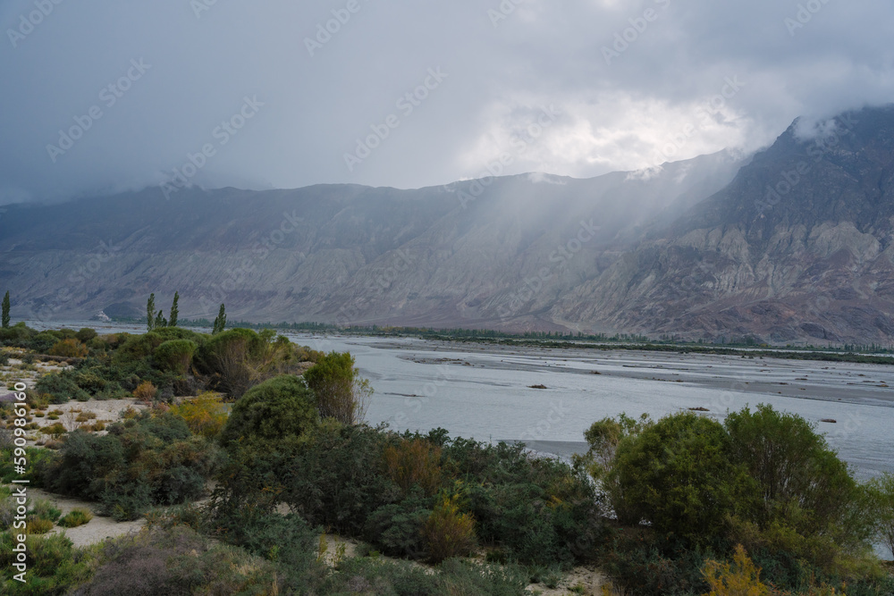 beautiful scenery: mountains and trees in Yarab Tso valley, Leh Ladakh - India