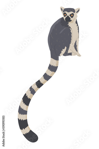 Lemur is a member of the order of primates. A semi-monkey living in Madagascar. Images for nature reserves, zoos and children's educational paraphernalia. Vector illustration. Isolated object.