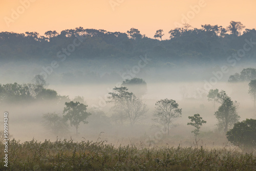 Colorful in the morning at Phu Khieo wildlife  Sanctuary  Chaiyaphom Province  Thailand.