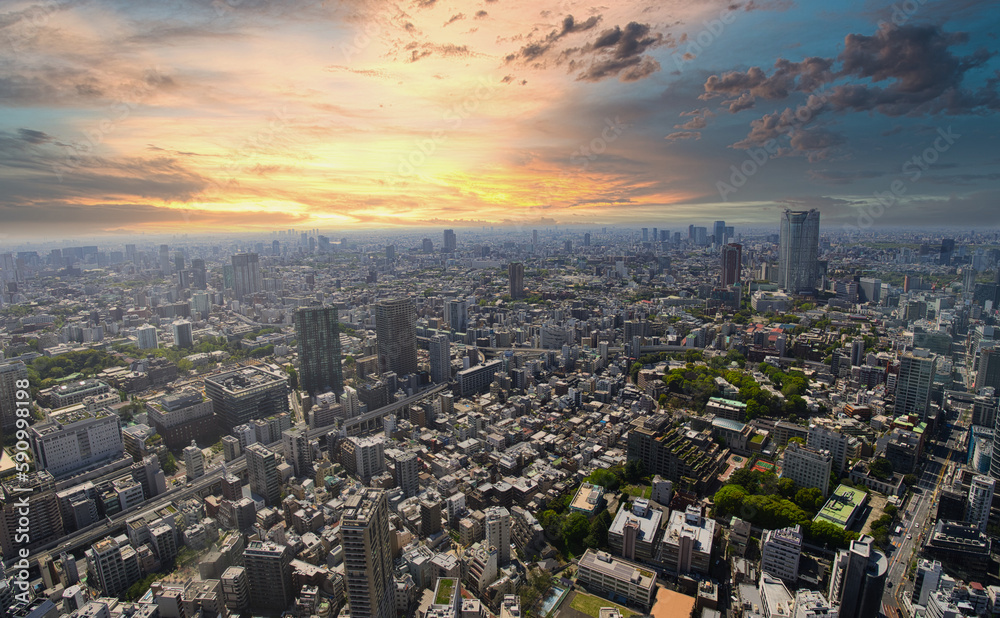 Buildings in the setting sun in Tokyo