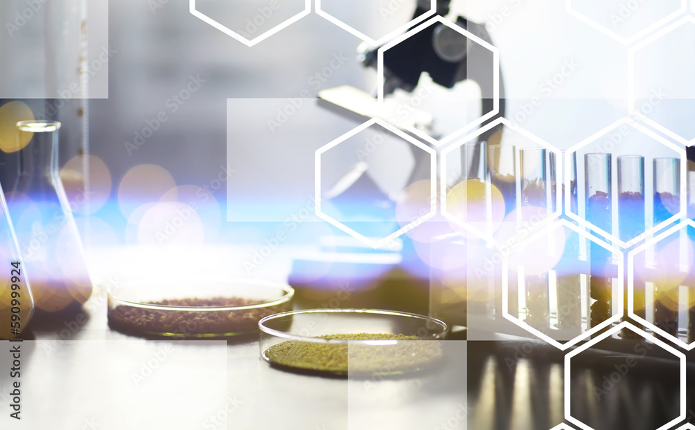 Research Analyzing Agricultural Grains And seeds In The Laboratory. Background with futuristic flare. Research Analyzing Agricultural Grains And seeds In The Laboratory. Background with futuristic flare.