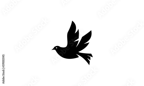 silhouette of a bird