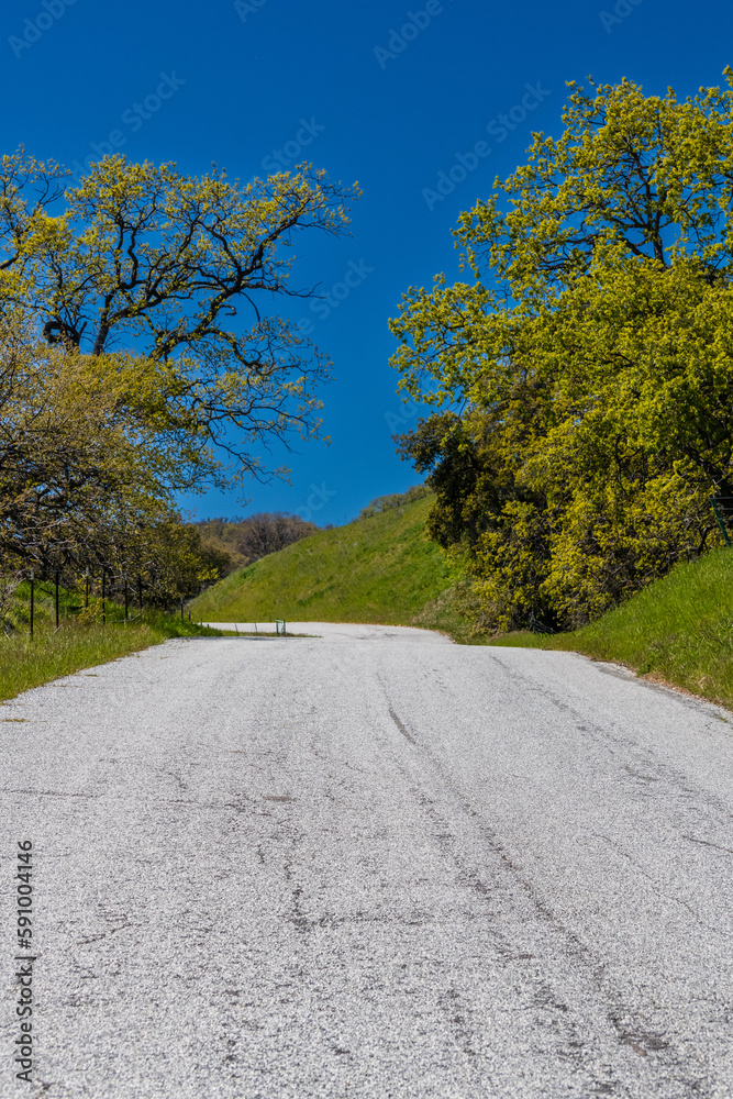 Obraz premium Country road in spring time