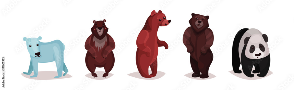 Polar Bear, Panda and Grizzly as Carnivore Animal Vector Set Polar Bear, Panda and Grizzly as Carnivore Animal Vector Set