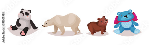 Polar Bear, Panda and Grizzly as Carnivore Animal Vector Set