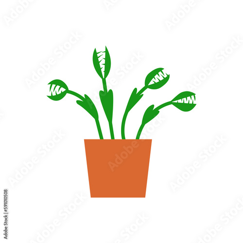 Venus Flytrap in a pot flat style illustration, decorative houseplant at home.