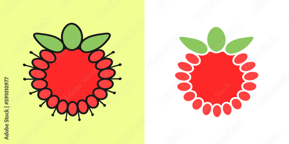 Raspberry linear icon, outline vector icon, linear icon, two color options