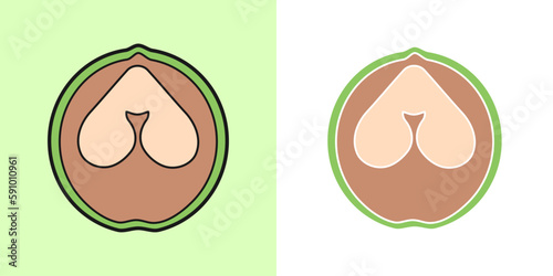 Linear Walnut icon, outline vector icon, linear icon, two versions in color