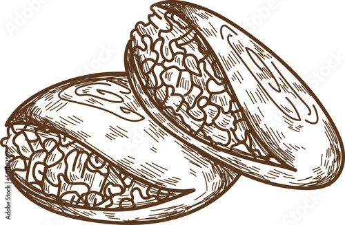 Mexican Food Doodle 