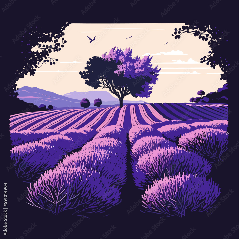 Beautiful colors purple lavender fields, Provence in France - obrazy, fototapety, plakaty 