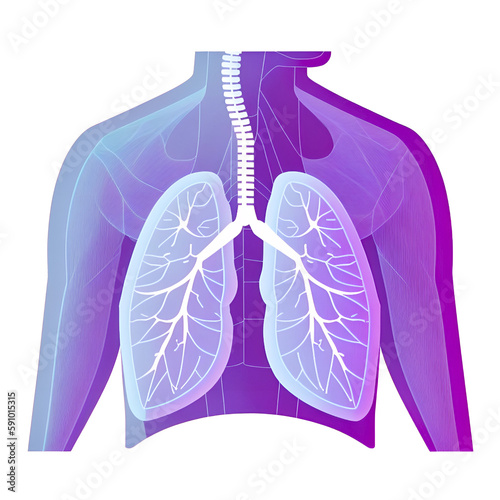 Human Lungs Anatomy: Exploring the Respiratory System generative with AI