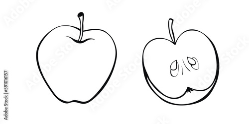 Vector contour drawing of whole and cut in half apple in doodle style. Hand-drawn isolated fruit. Clipart, symbol of harvest, summer, autumn, garden, healthy food, school snack