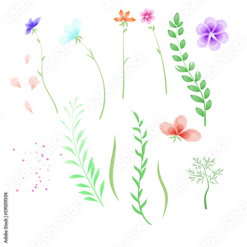 set of floral watercolor elements for design © Svetlana kuznetcova