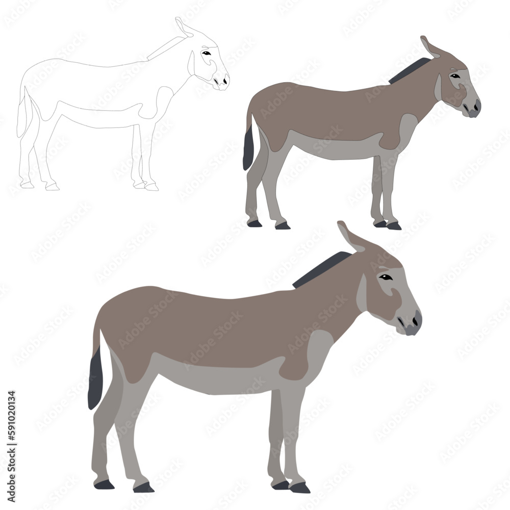 Vector donkey flat with shadows and stroke