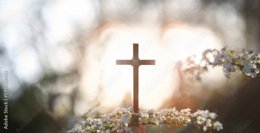 White spring flowers on a warm spring day, sunset in the forest, and the holy cross of Jesus Christ, a Christian symbol
