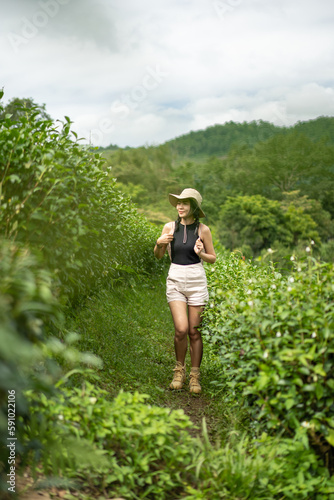 Carefree happy woman in morning of nature Landmark Tea Plantation. tea harvest