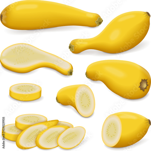 Set with whole, half, quarter, slices of Crookneck Yellow Squash. Summer squash. Cucurbita pepo. Cucurbitaceae. Fresh, raw fruits and vegetables. Vector illustration isolated on white background.