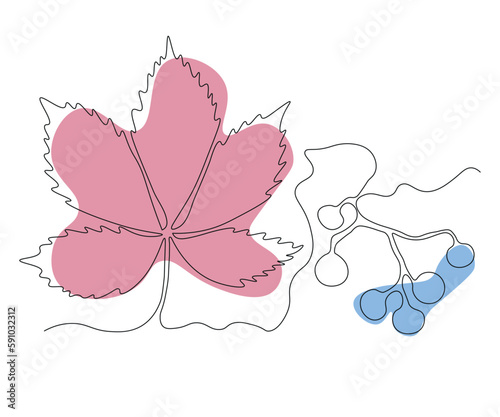 abstract leaf of maiden grapes and a bunch of berries Continuous One Line Drawing