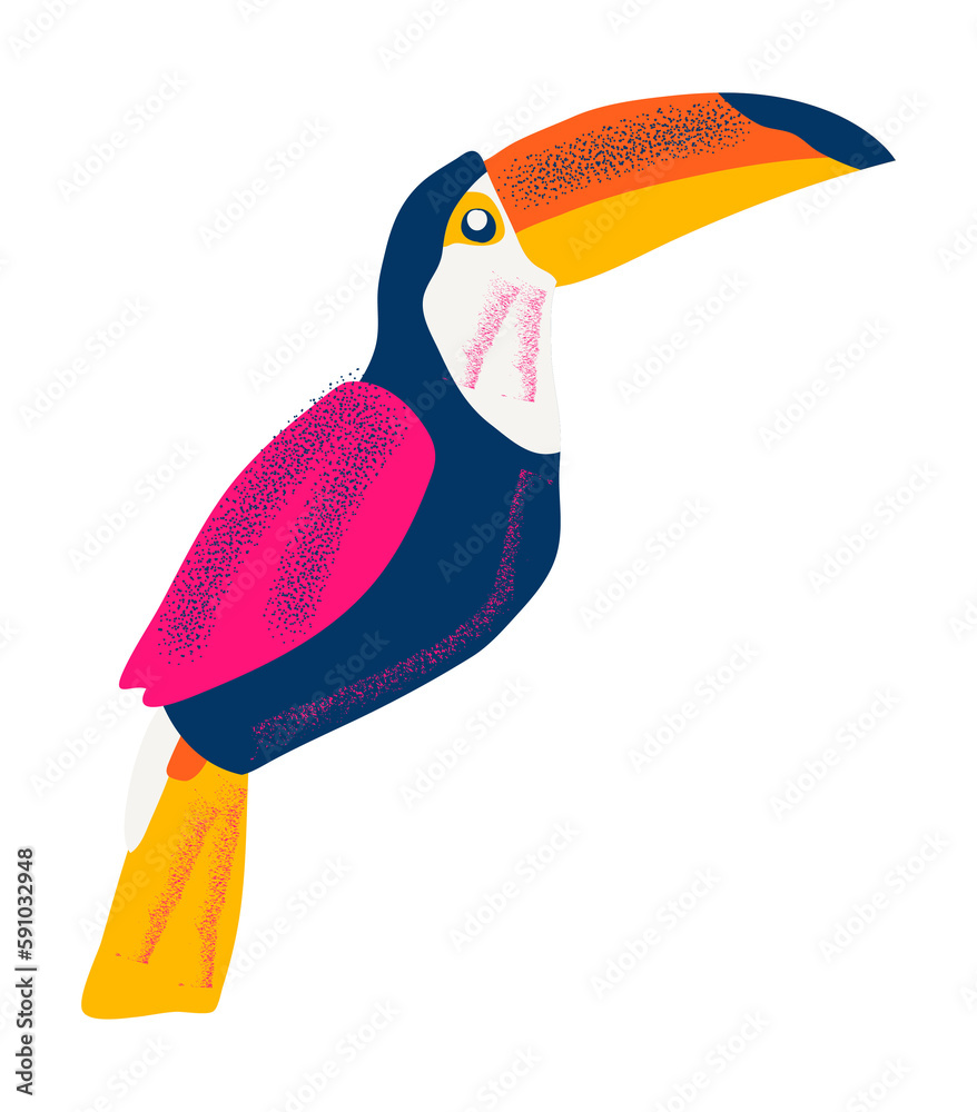 Obraz premium Tropical hornbill bird vector