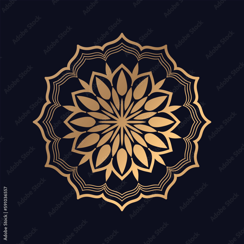 Beautiful Mandala gold in black background vector image