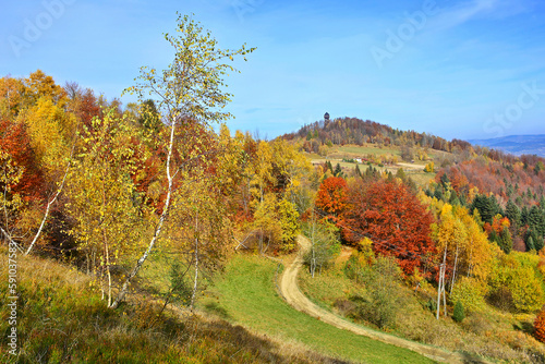 Autumn mountains landscape. Colorful foliage in the autumn forest. Koziarz, Beskid Sadecki, Poland