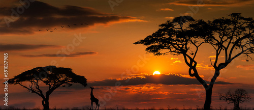 Obraz na płótnie Silhouettes of african wild animals at sunset. Evening in African savanna. w salonie