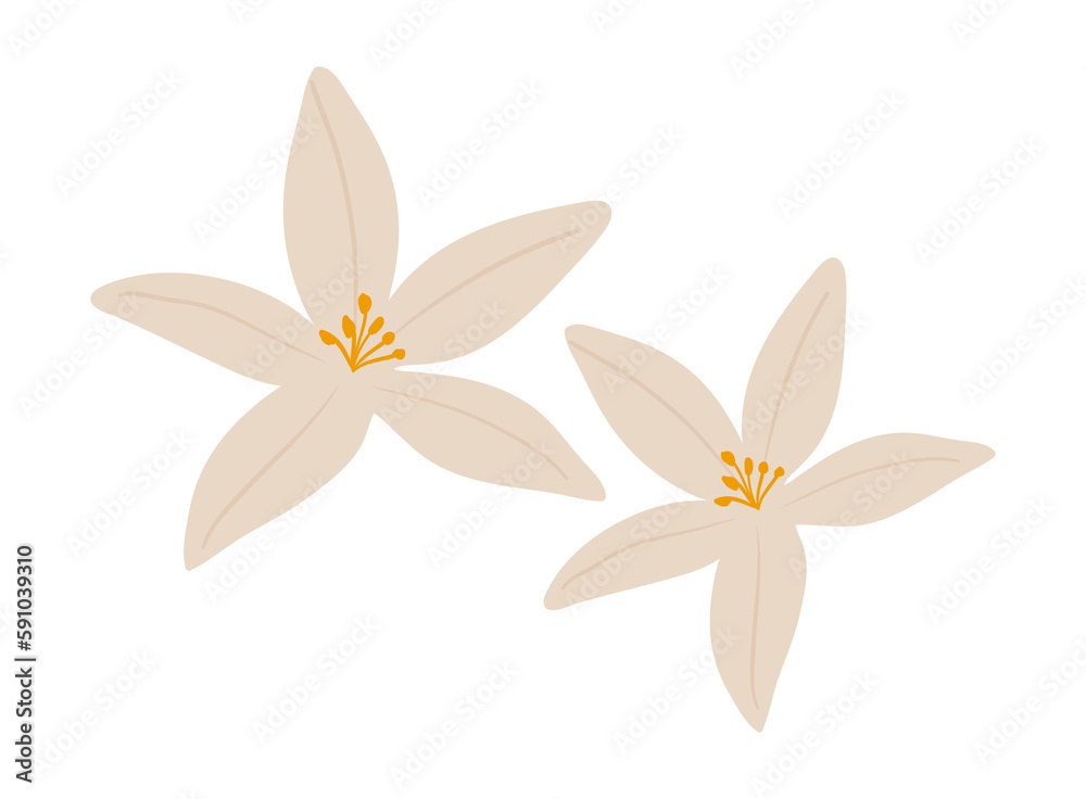 Herbal flower Herbal flower