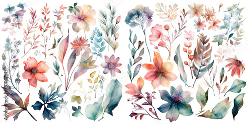 Set of watercolor flowers leaves and twigs on a white background © arts_vector