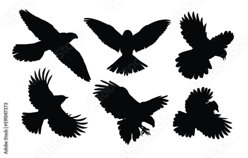The set of silhouettes birds of prey in flight. 