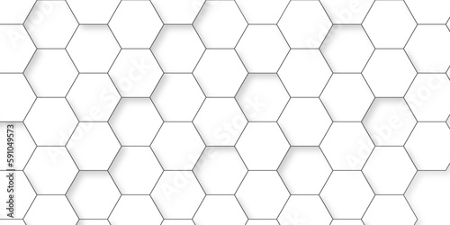 Background with hexagons. Abstract background with lines. white texture background. white and hexagon abstract background. white paper texture and futuristic business .