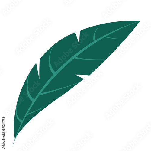  leaf vector