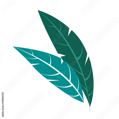  leaf vector