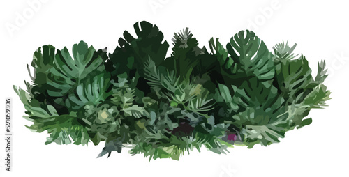 Vector watercolor of green tree top view isolated on white background for landscape layout plan and architecture drawing, elements for environment and garden,blooming botanical elements