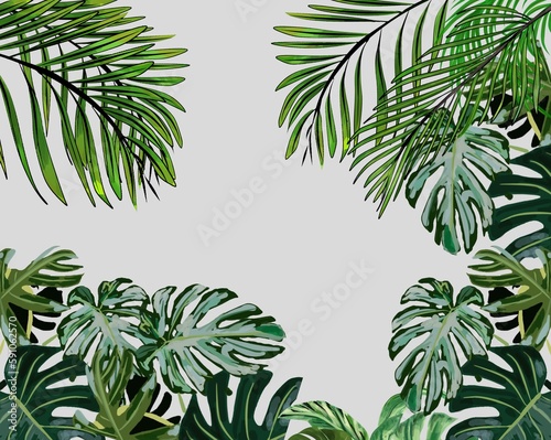 fresh green palm leaves and monster leaves Summer leaves with cream background © Wiroj