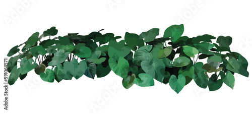 Vector watercolor of green tree top view isolated on white background for landscape layout plan and architecture drawing, elements for environment and garden,blooming botanical elements