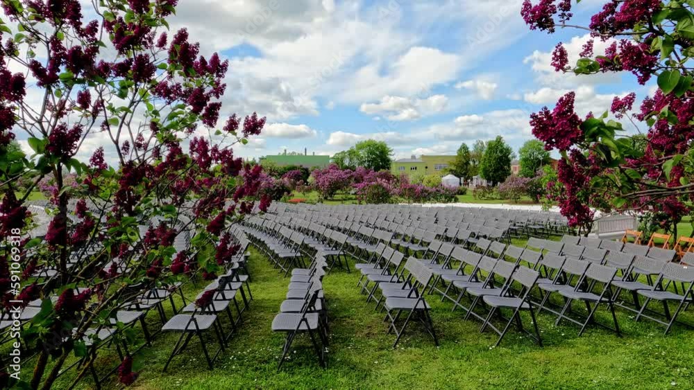 Movement though tree with pink flowers reveals ceremony chair set-up Movement though tree with pink flowers reveals ceremony chair set-up
