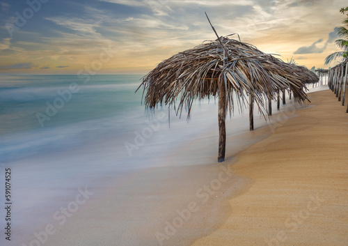 beach with palm trees