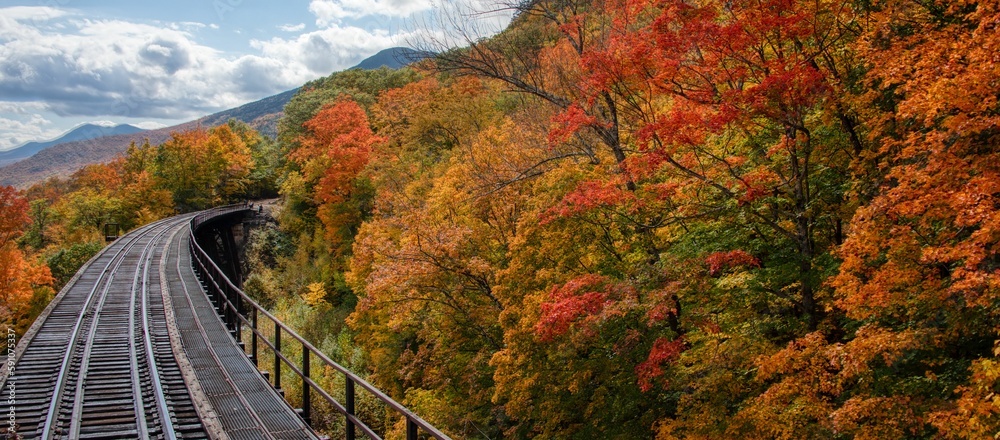 Fototapeta premium New Hampshire Scenic Railroad surrounded by autumn trees with orange leaves