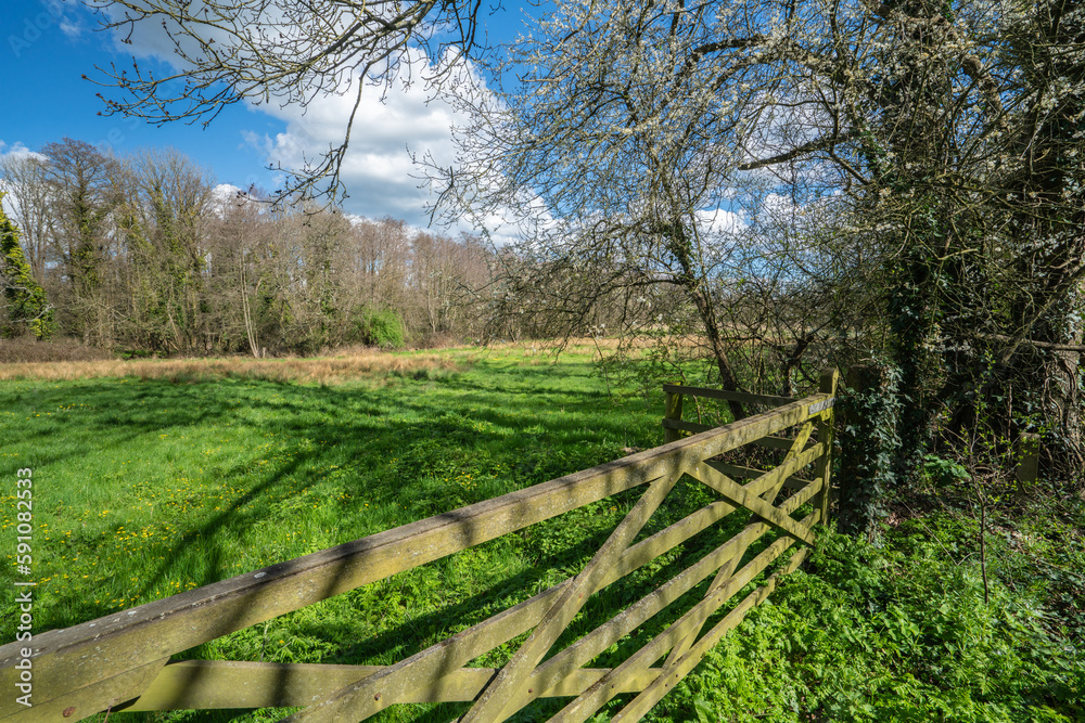 A five-bar gate leading to a green field and trees under a blue sky with clouds at Bishop's Waltham Moors, Hampshire, a nature reserve and site of Special Scientific Interest.