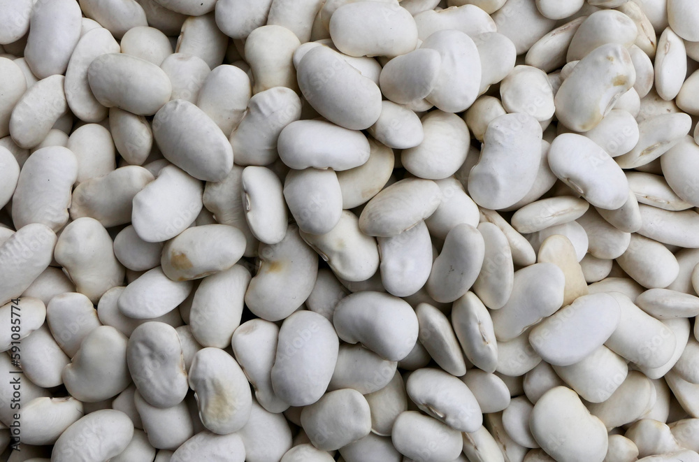 food background with close-up white beans food background with close-up white beans