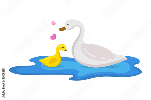 Vector cartoon mother farm birds duck with duckling swimming in pond isolated on white background. Mothers day  baby shower  maternal care concept illustration