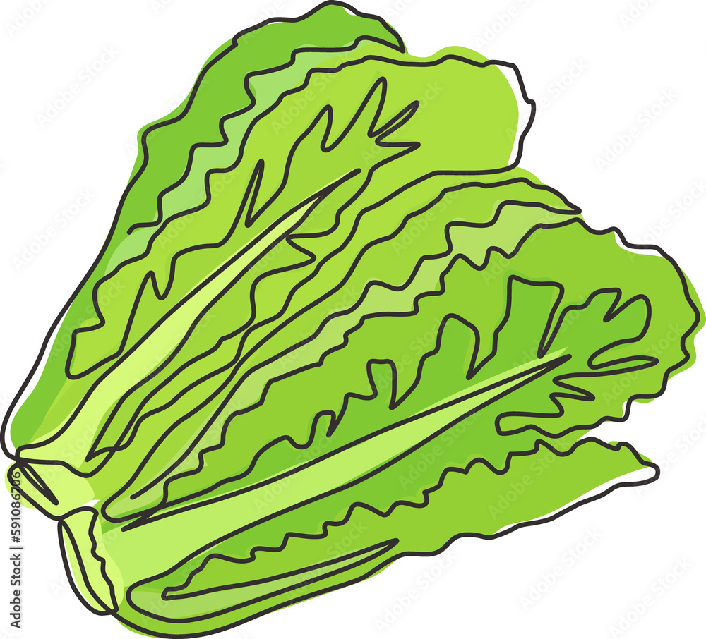 One single line drawing healthy organic green lettuce leaves for farm logo identity. Fresh salad ingredient concept for vegetable icon. Modern continuous line draw design graphic vector illustration One single line drawing healthy organic green lettuce leaves for farm logo identity. Fresh salad ingredient concept for vegetable icon. Modern continuous line draw design graphic vector illustration